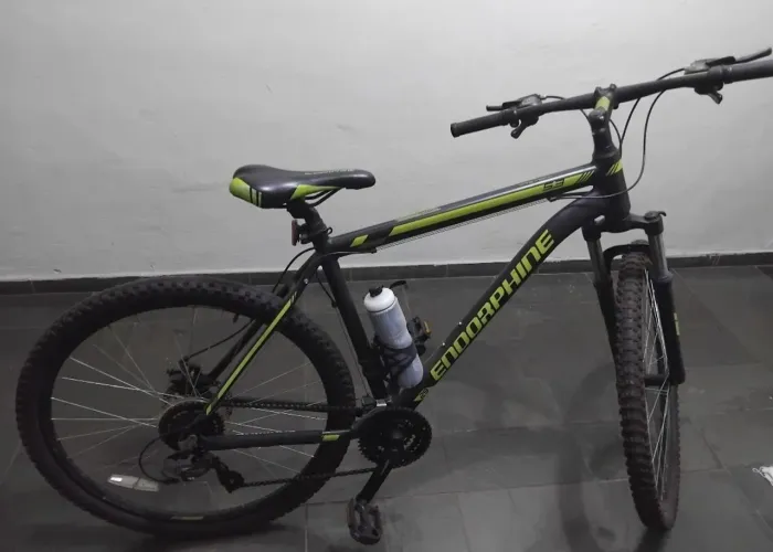 Bicicleta Endorphine, quadro GRANDE, ARO 29.