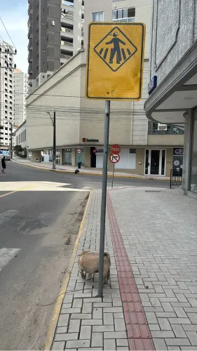 SALA COMERCIAL para LOCAÇÃO - 80 Metros da NEREU RAMOS