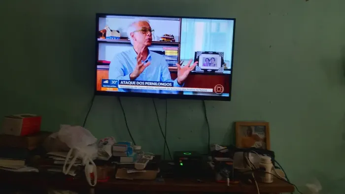 TV