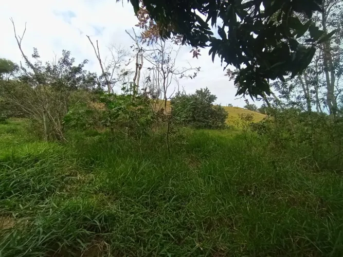 SÍTIO À VENDA EM GOIABEIRAS - DOMINGOS MARTINS | 1.000m², PARCELO, TROCO, ACEITO OFERTAS <br>