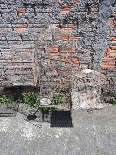 Gaiolas para pássaros 