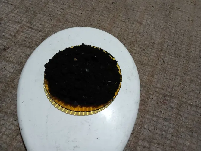 munha de carvão