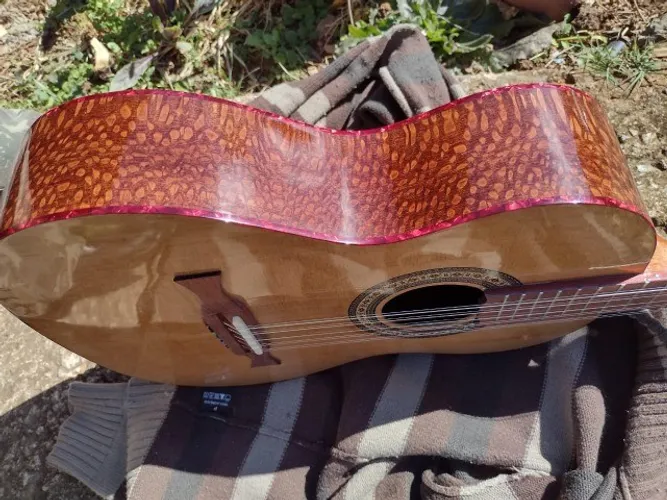 viola luthier (varios)