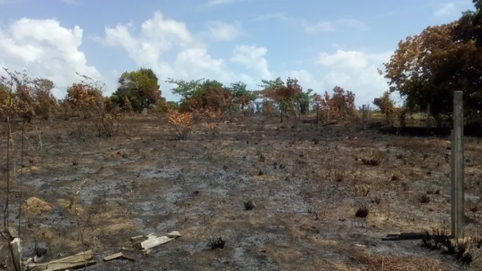 Terrenos em Jacumã 