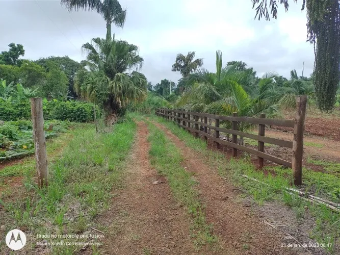 Sítio de 2,84 hectares (28.488,19 m2), com casa de alvenaria, pasto, pomar e silagem.