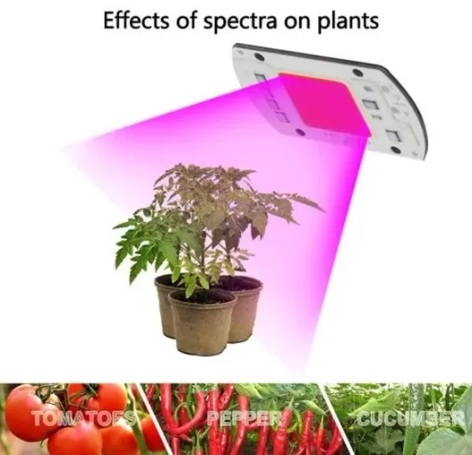 Led Full Spectrum 20w Grow Chip Aquário Planta Indoor Planta hidropônico Estufa COD-CP280 
