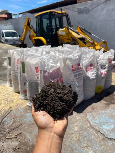 Terra Vegetal Ensacada Média 37kg ( Preta ) 