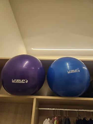 Vendo bolas Pilates e Bosu