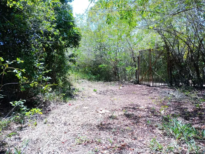 Terreno ótimo para sítio 