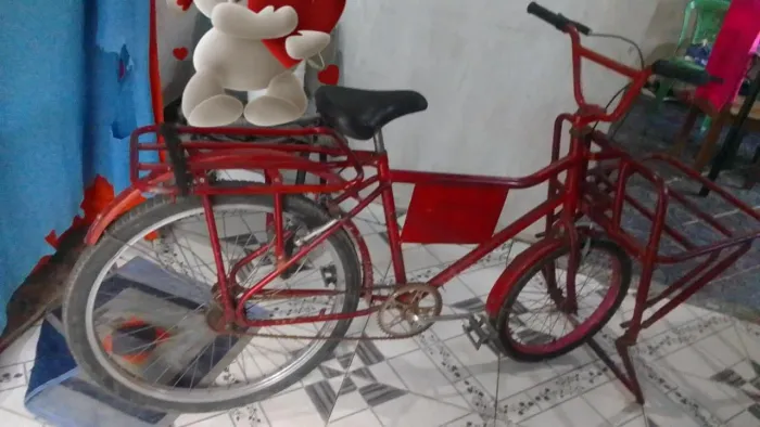 Bicicleta cargueira 