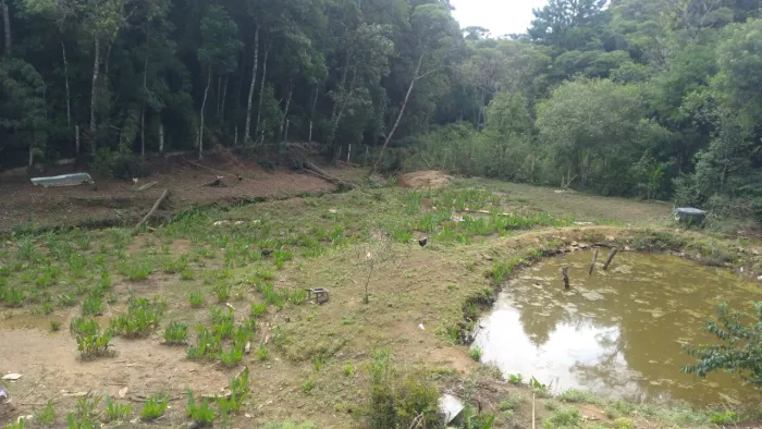 Chácara em Sjp no caminho do vinho ( continuação)