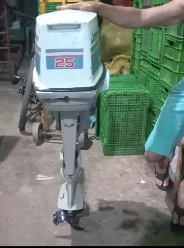 Motor Johnson 25WP