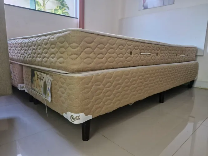 Cama Queen Box Colchão molas ensacadas Castor
