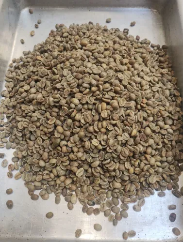 Vendo café crú, em grão, 100% arábica, para você torrar em casa.