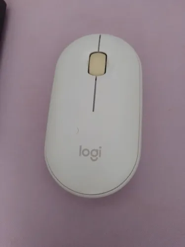 Mouse