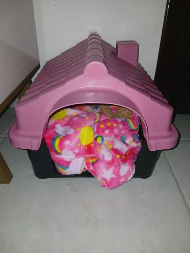 Casinha pet