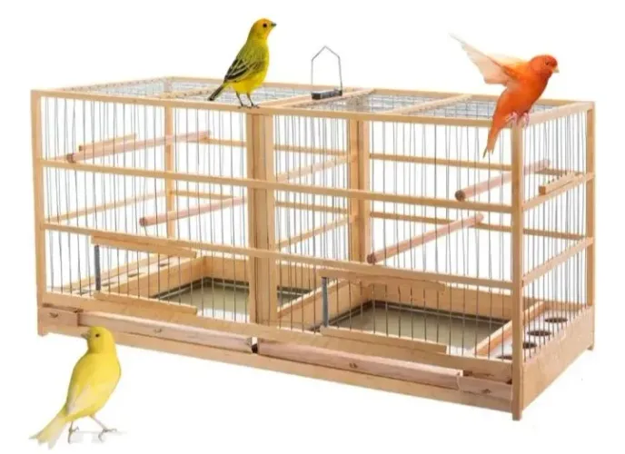 Gaiola reprodução canário da terra