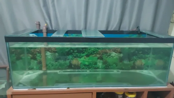 Aquário grande com sump