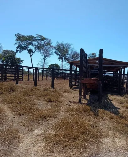 FAZENDA 150 ALQUEIRES (4,84) EM GENERAL CARNEIRO