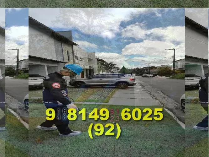 dedetização ESSENCIAL para seu lar! Alugue agora e mantenha pragas longe!