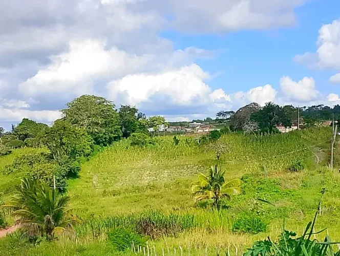 Sitio Olho D´agua 20.000 m2