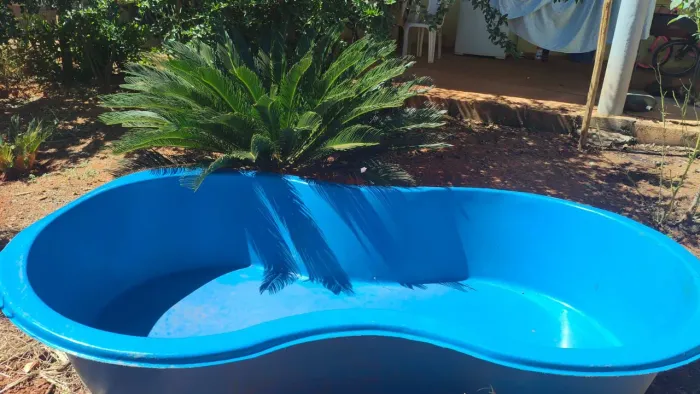Piscina de 1000 Litros