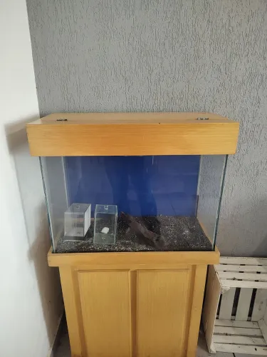 Aquário 100 litros com movel