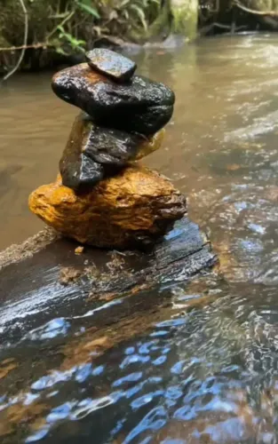 Chácara para Venda em Anápolis, Joanápolis, 3 dormitórios, 1 suíte, 2 banheiros, 3 vagas