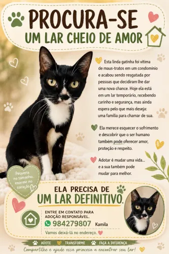 Adoção fêmea castrada