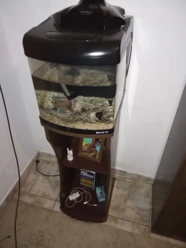 Aquário boyu já com mobília observação precisa trocar a bomba e luz