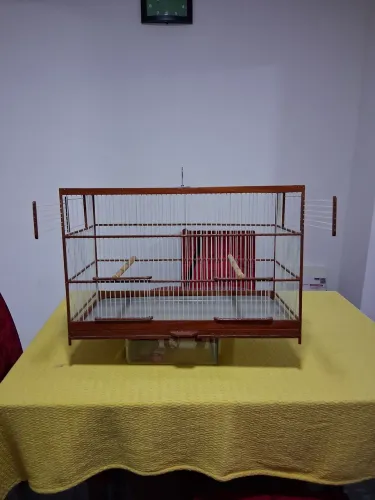 Voador de 60 cm