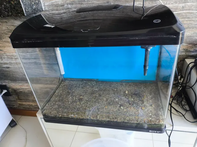 Aquário Boyo 66 litros