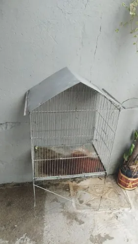 Vendo viveiro 80 reais