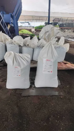 Substrato Premium 25kg - Frete Grátis para Curitiba!