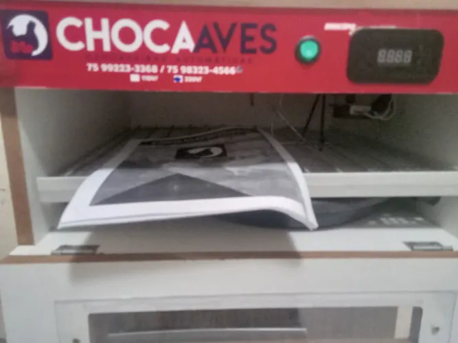 Vendo chocadeira automática 50 ovos
