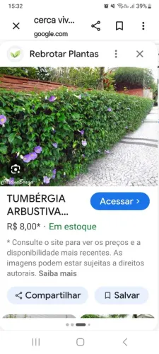 Cerca Viva Verde