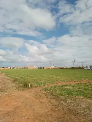 repasse de lote na buriti
