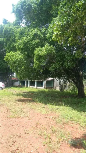 Fazenda Luziânia Cristalina Goiás 