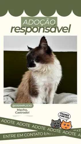 Adoção responsável
