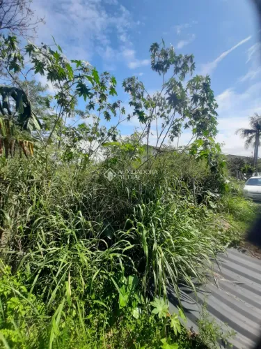 Terreno com 1060m² à venda em Campeche, Florianópolis.