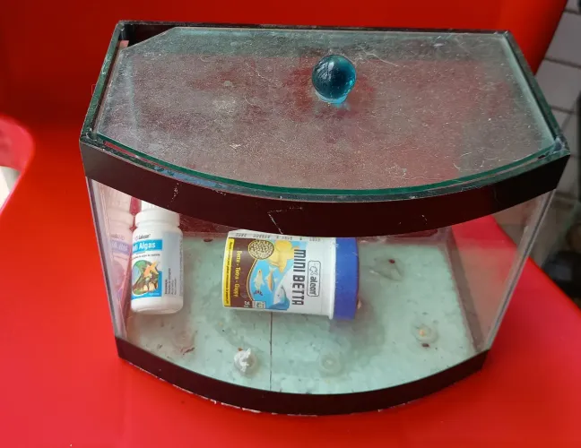 BETEIRA DESIGN MODERNO (DECORATIVA)