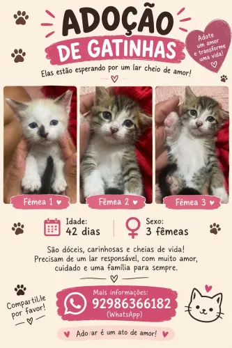 Doação 