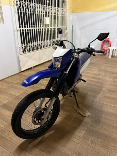 Lander 2019