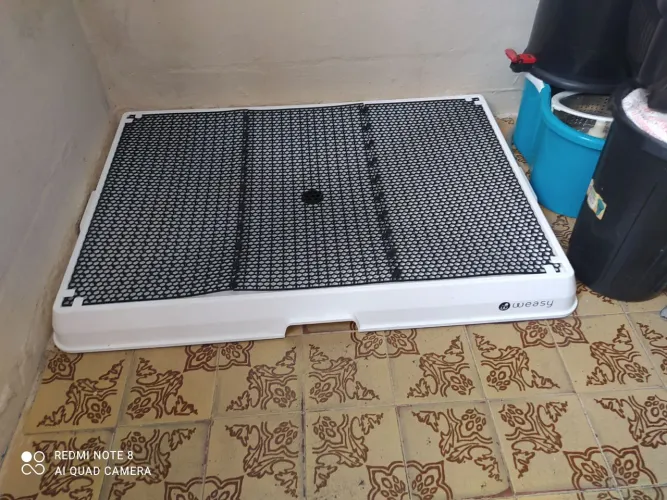 Weasy banheiro inteligente para pet