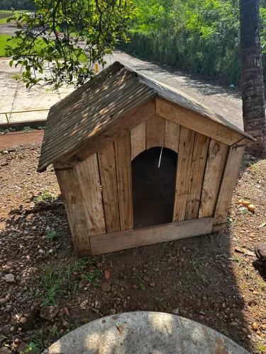 Casinha cachorro