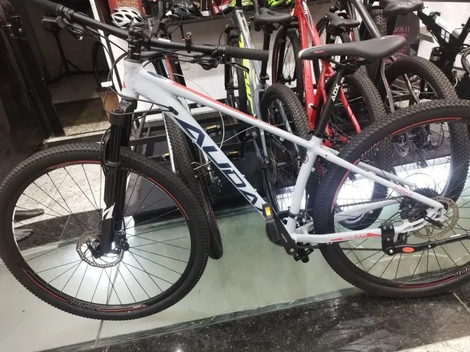 BIKE AUDAX HAVORK