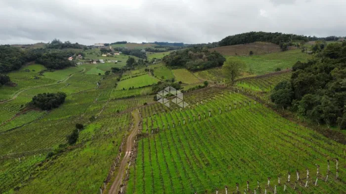 Área de terra na linha Leopoldina Vale dos Vinhedos
