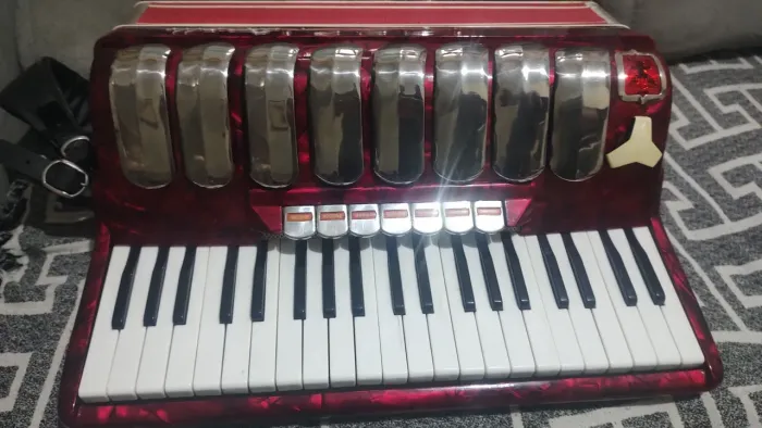 Sanfona Acordeon 120 Baixos 