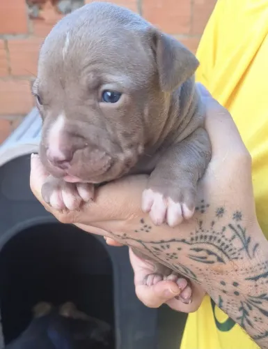 Pit monster