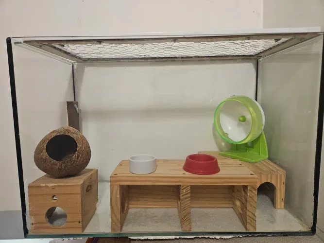 Terrário para hamster